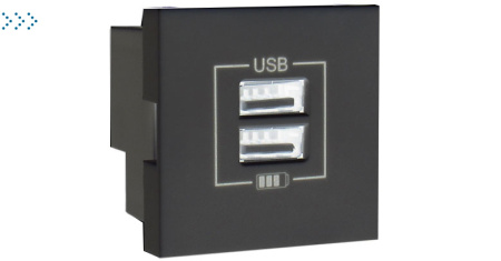 Двойная USB розетка, зарядная, черный глянец (45439 SPT)